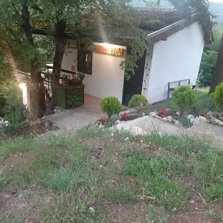 Vila Eva Meduvrsje Dış mekan fotoğraf