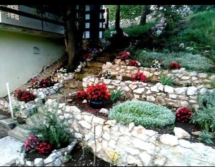 Vila Eva Meduvrsje Dış mekan fotoğraf