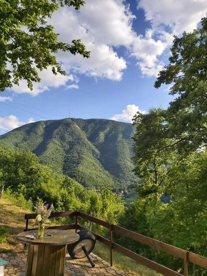 Vila Eva Meduvrsje Dış mekan fotoğraf