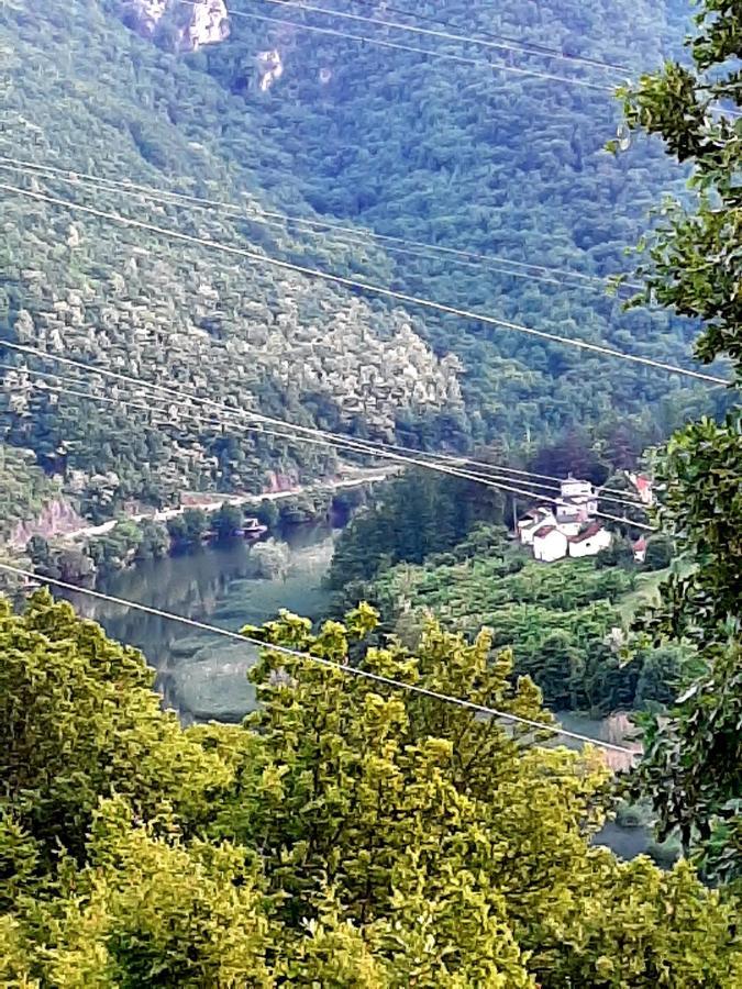 Vila Eva Meduvrsje Dış mekan fotoğraf
