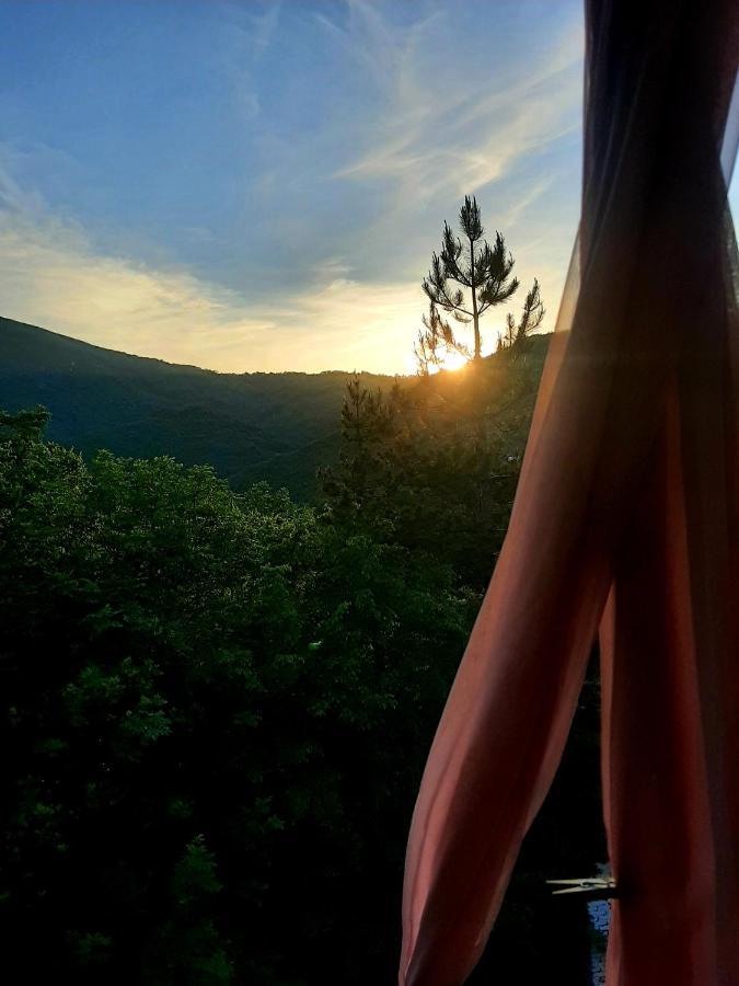 Vila Eva Meduvrsje Dış mekan fotoğraf