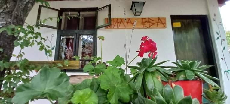 Vila Eva Meduvrsje Dış mekan fotoğraf