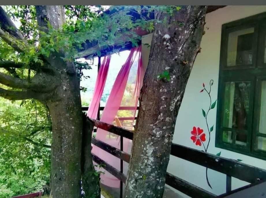 Vila Eva Meduvrsje Dış mekan fotoğraf