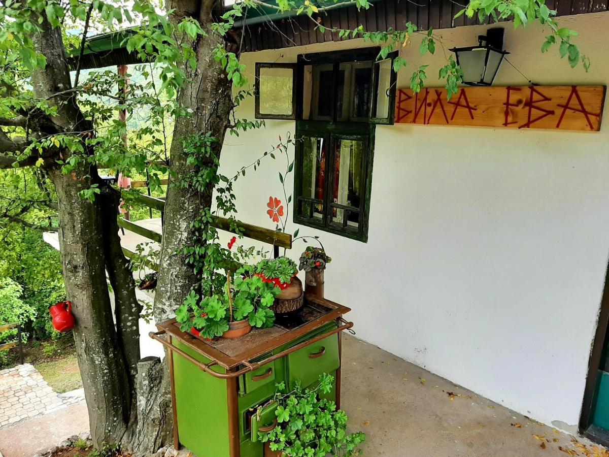 Vila Eva Meduvrsje Dış mekan fotoğraf