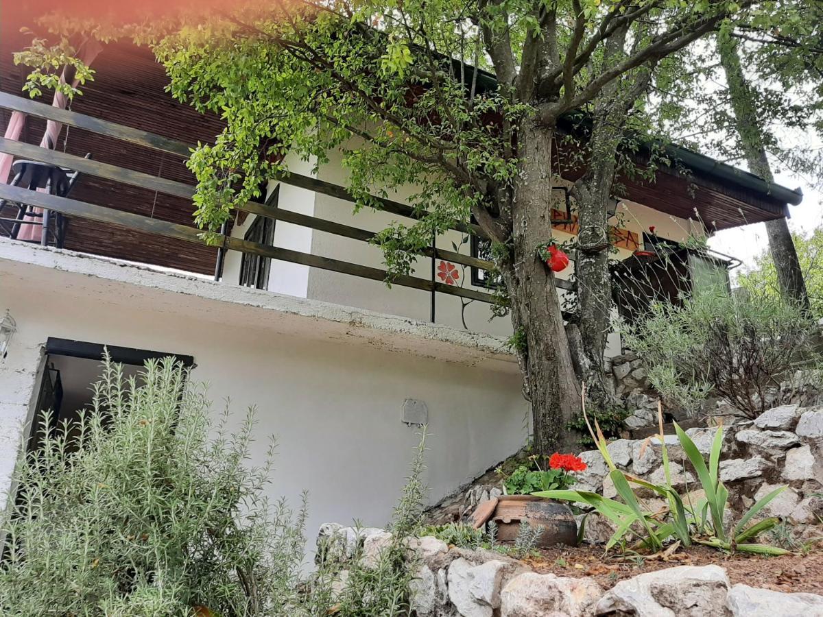 Vila Eva Meduvrsje Dış mekan fotoğraf