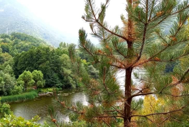 Vila Eva Meduvrsje Dış mekan fotoğraf