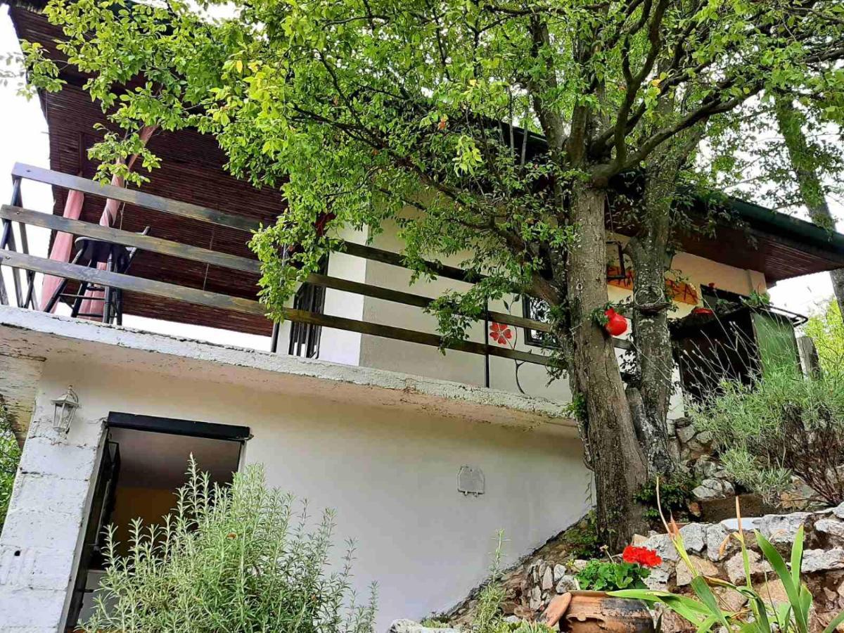 Vila Eva Meduvrsje Dış mekan fotoğraf