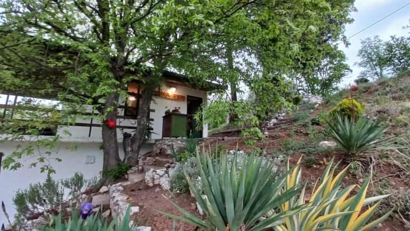 Vila Eva Meduvrsje Dış mekan fotoğraf